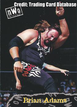 wcw brian adams