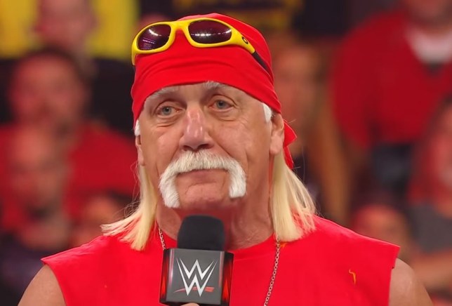 hulk hogan wwe